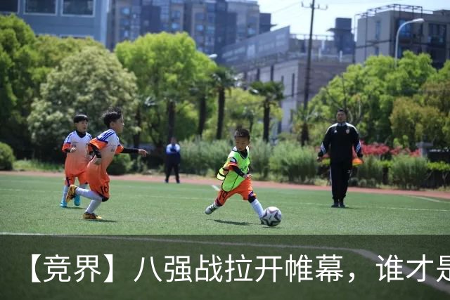 【竞界】八强战拉开帷幕，谁才是世界杯逆风球之王