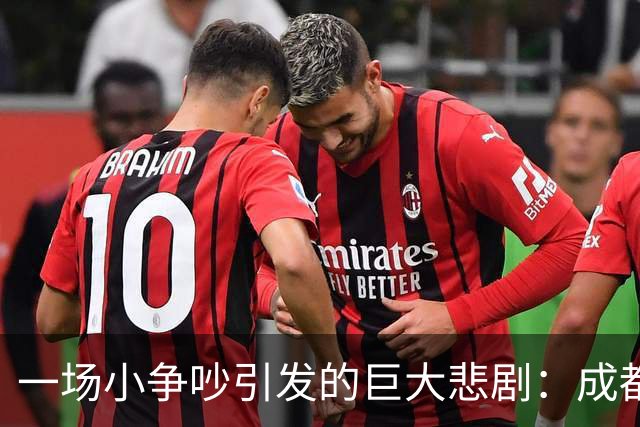 一场小争吵引发的巨大悲剧：成都宝妈的惨痛代价