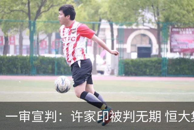 一审宣判：许家印被判无期 恒大集团及多名高管遭重罚