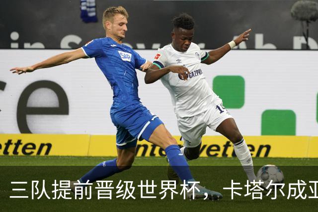 三队提前晋级世界杯，卡塔尔成亚洲首队