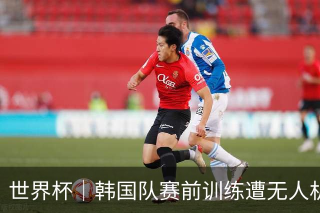 世界杯｜韩国队赛前训练遭无人机干扰