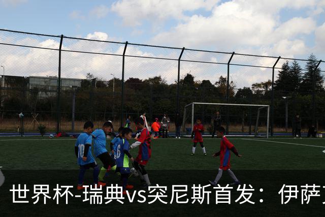 世界杯-瑞典vs突尼斯首发：伊萨克、约克雷斯首秀，汉尼拔出战
