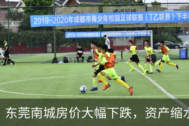东莞南城房价大幅下跌，资产缩水严重，买卖双方何去何从？