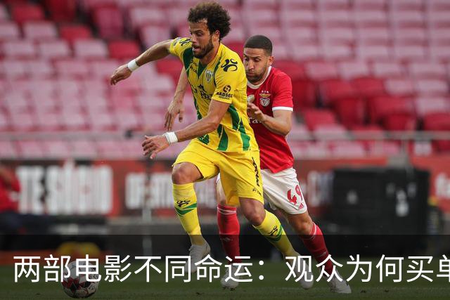 两部电影不同命运：观众为何买单