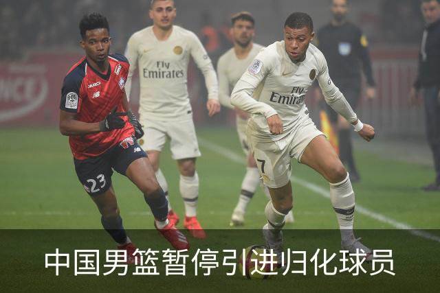 中国男篮暂停引进归化球员