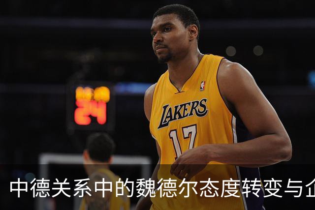 中德关系中的魏德尔态度转变与企业应对策略