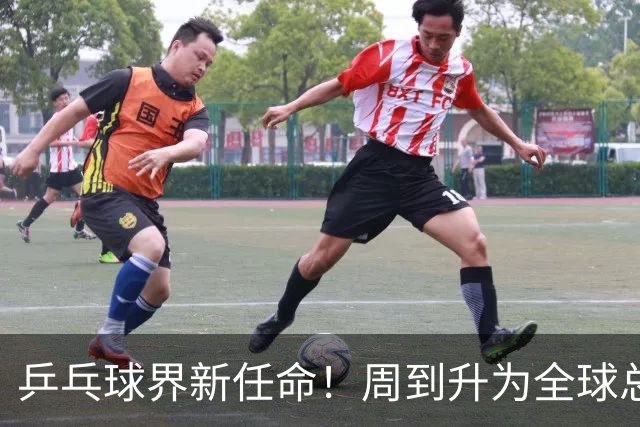 乒乓球界新任命！周到升为全球总监，女子主管角色引关注