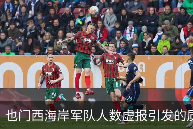也门西海岸军队人数虚报引发的质疑