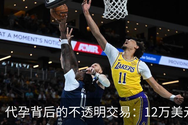 代孕背后的不透明交易：12万美元的秘密孩子