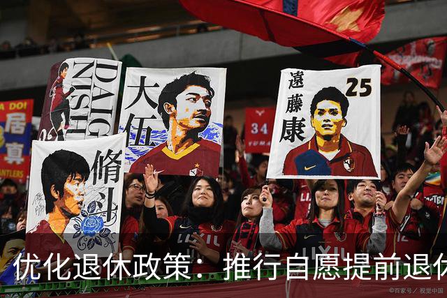 优化退休政策：推行自愿提前退休以提高人性化