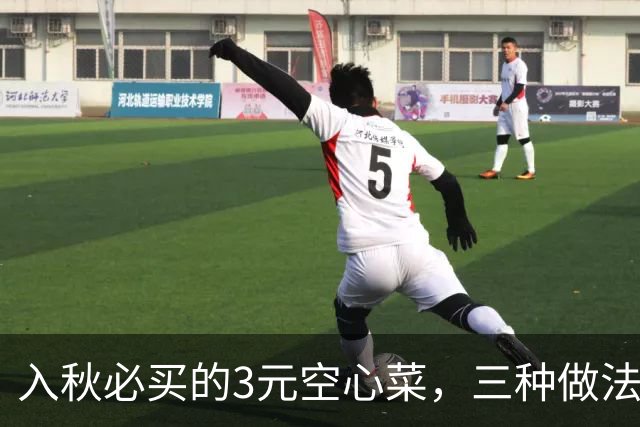 入秋必买的3元空心菜，三种做法教你吃得又鲜又清爽