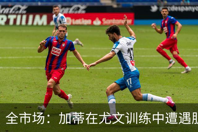 全市场：加蒂在尤文训练中遭遇肌肉不适，预计缺战热身赛对阵国米