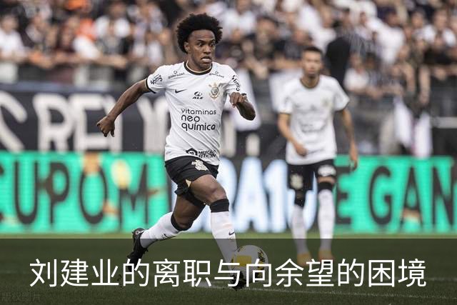刘建业的离职与向余望的困境