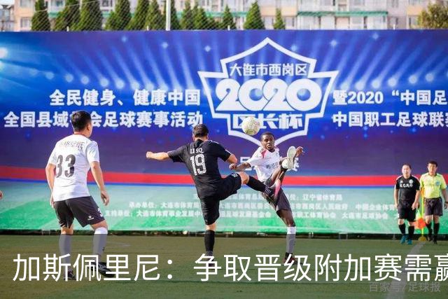加斯佩里尼：争取晋级附加赛需赢下主场