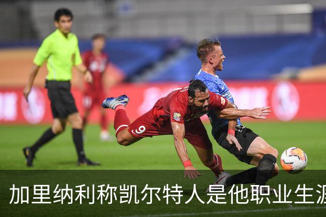 加里纳利称凯尔特人是他职业生涯最佳争冠机会