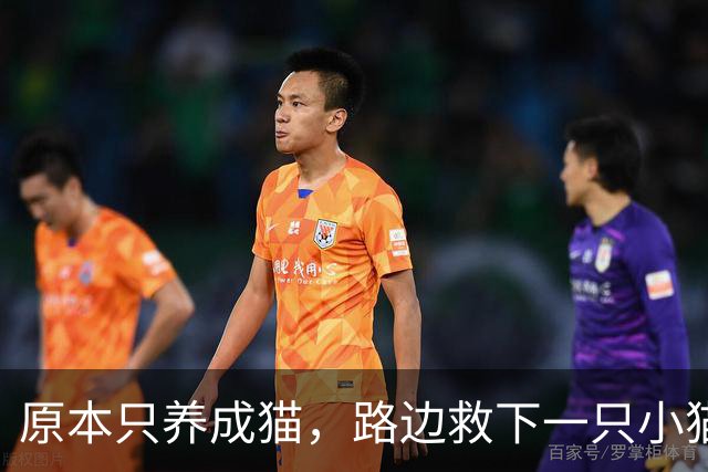 原本只养成猫，路边救下一只小猫改变计划