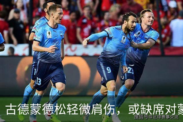 古德蒙德松轻微肩伤，或缺席对蒙扎的比赛