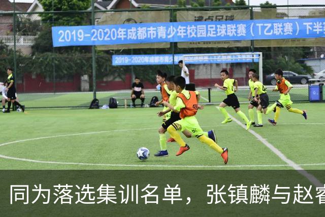 同为落选集训名单，张镇麟与赵睿的境遇差异何在？