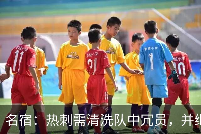 名宿：热刺需清洗队中冗员，并继续引援支持德泽尔比建队