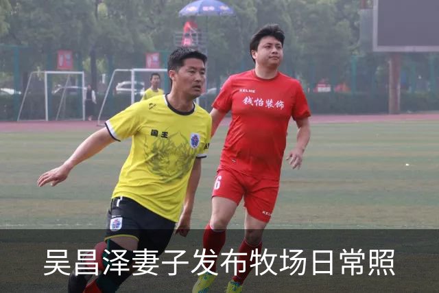 吴昌泽妻子发布牧场日常照