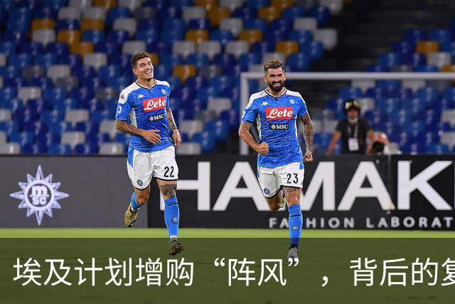 埃及计划增购“阵风”，背后的复杂因素揭示