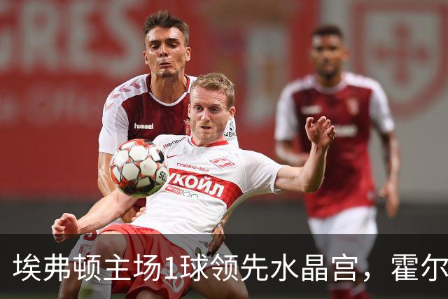 埃弗顿主场1球领先水晶宫，霍尔破门
