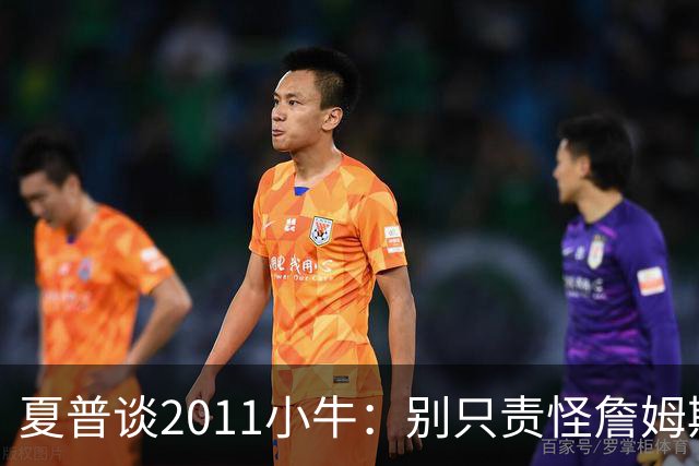 夏普谈2011小牛：别只责怪詹姆斯