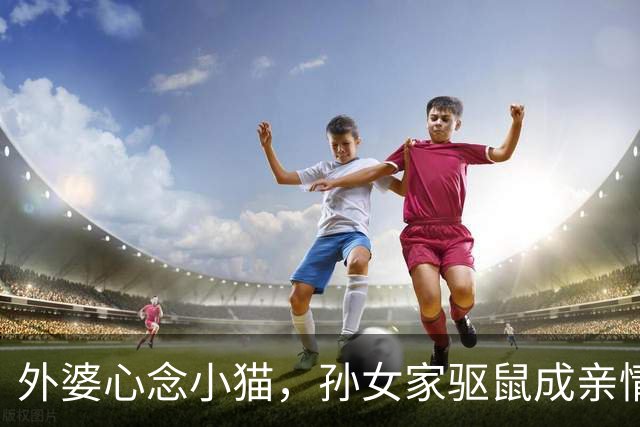外婆心念小猫，孙女家驱鼠成亲情纽带
