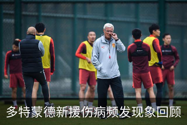 多特蒙德新援伤病频发现象回顾
