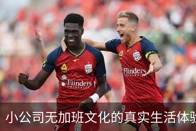 小公司无加班文化的真实生活体验