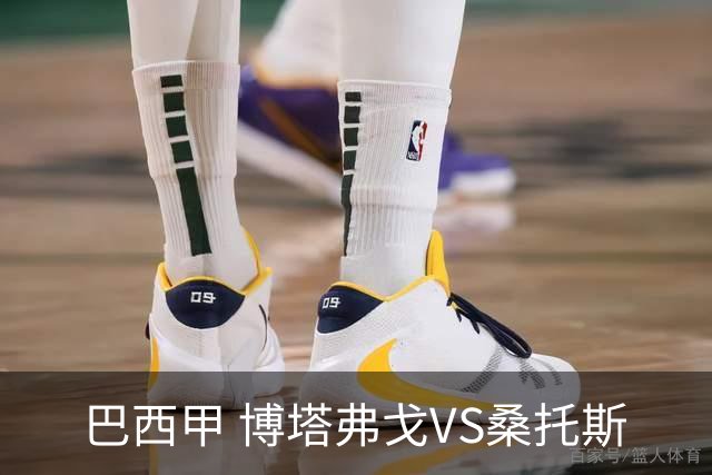 巴西甲 博塔弗戈VS桑托斯