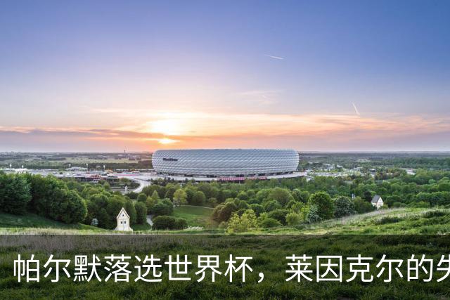 帕尔默落选世界杯，莱因克尔的失望与期待！