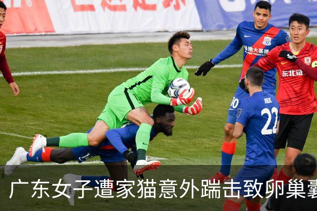 广东女子遭家猫意外踹击致卵巢囊肿破裂，获及时救治