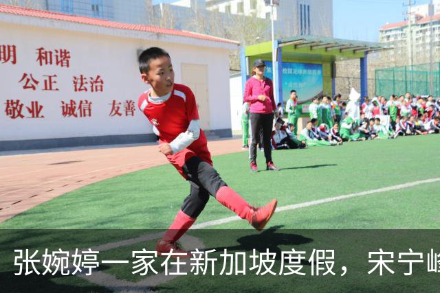 张婉婷一家在新加坡度假，宋宁峰状态不佳引关注