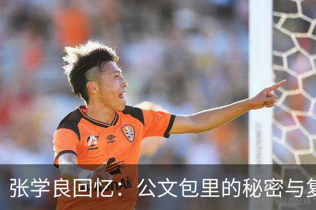 张学良回忆：公文包里的秘密与复杂关系