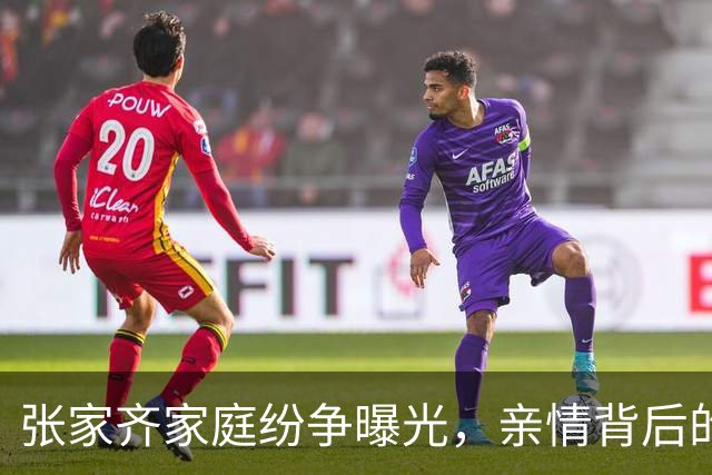 张家齐家庭纷争曝光，亲情背后的委屈引发热议