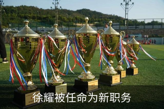 徐耀被任命为新职务