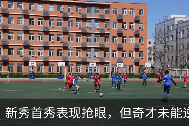 新秀首秀表现抢眼，但奇才未能逆转骑士