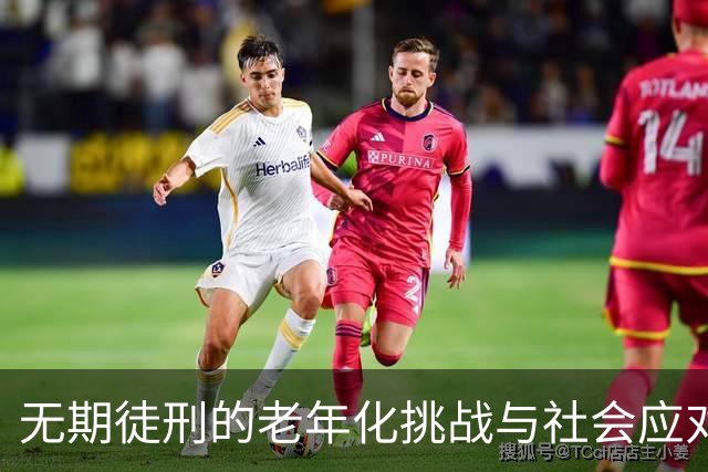 无期徒刑的老年化挑战与社会应对