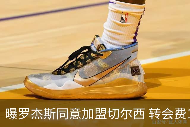 曝罗杰斯同意加盟切尔西 转会费1.17亿镑合同期6+1年