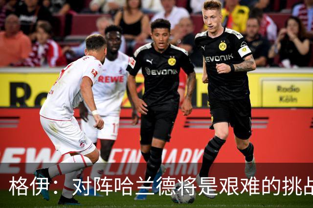 格伊：对阵哈兰德将是艰难的挑战，但我们会竭尽全力争取胜利