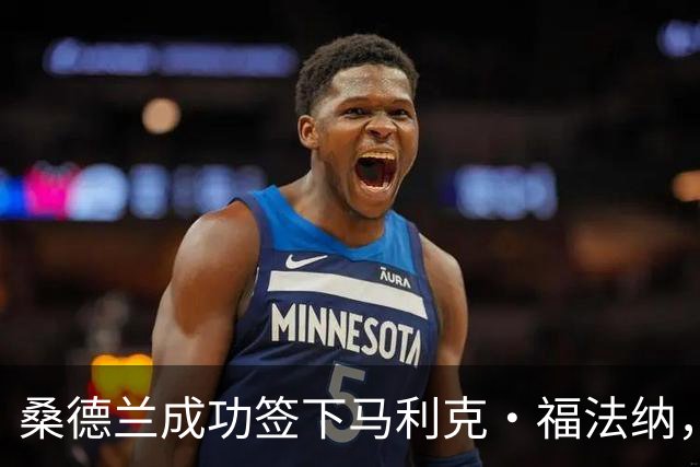 桑德兰成功签下马利克·福法纳，击败水晶宫竞标