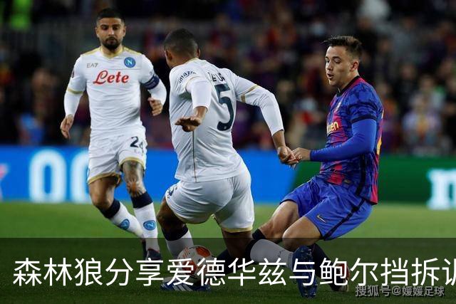 森林狼分享爱德华兹与鲍尔挡拆训练精彩片段