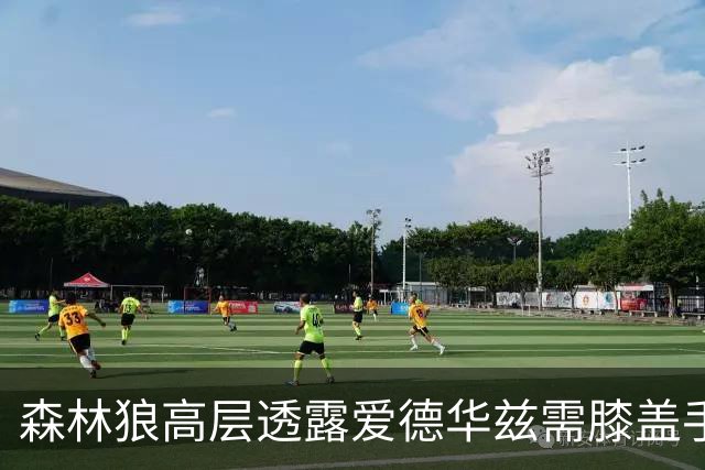 森林狼高层透露爱德华兹需膝盖手术，预计缺席数月