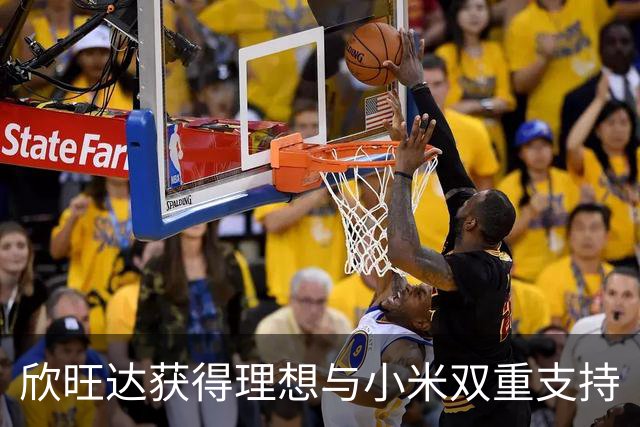 欣旺达获得理想与小米双重支持