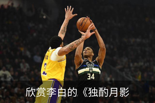 欣赏李白的《独酌月影