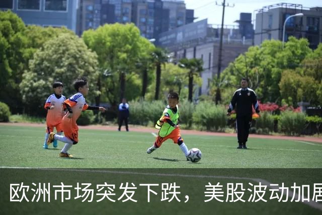 欧洲市场突发下跌，美股波动加剧