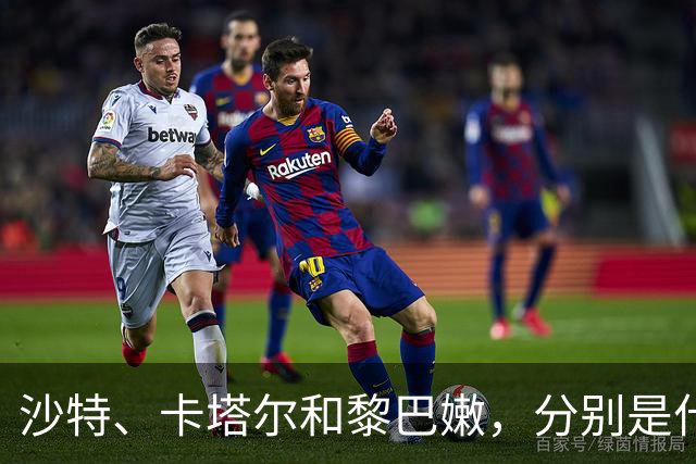 沙特、卡塔尔和黎巴嫩，分别是什么水平？