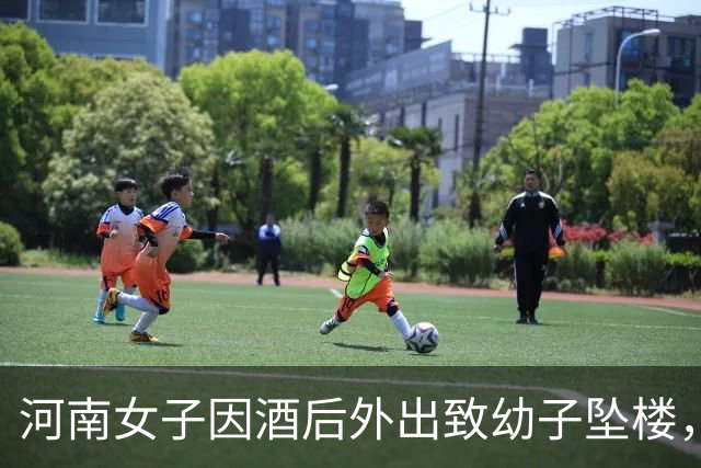 河南女子因酒后外出致幼子坠楼，获缓刑处分