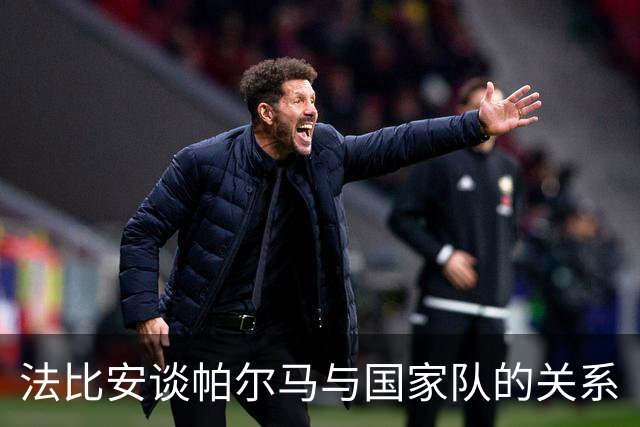 法比安谈帕尔马与国家队的关系